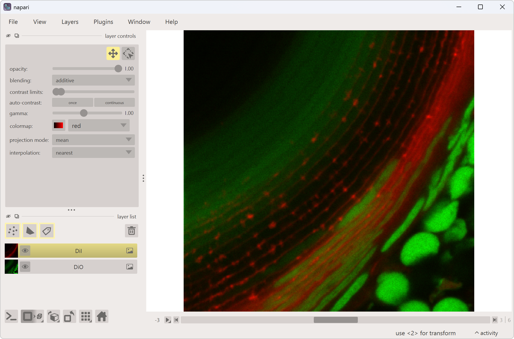 OME-Zarr dataset opened successfully in napari.